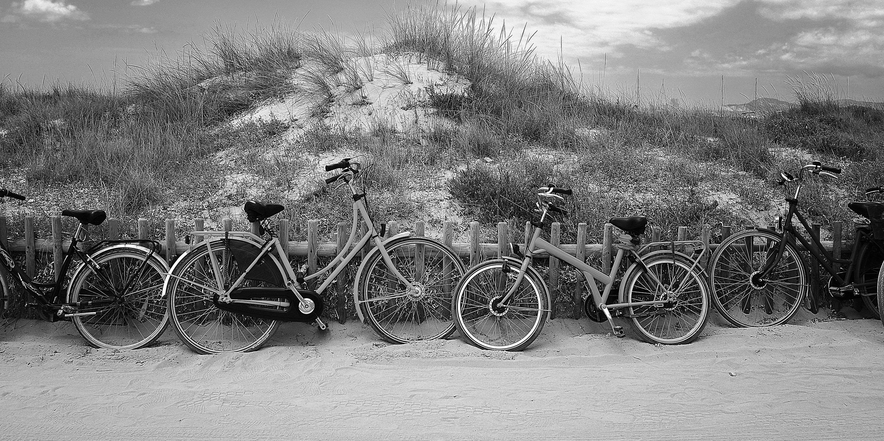 beachbikes